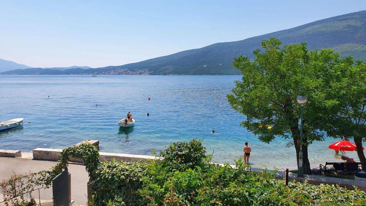 Apartment Dunja Djenovici Χέρτσεγκ Νόβι Εξωτερικό φωτογραφία