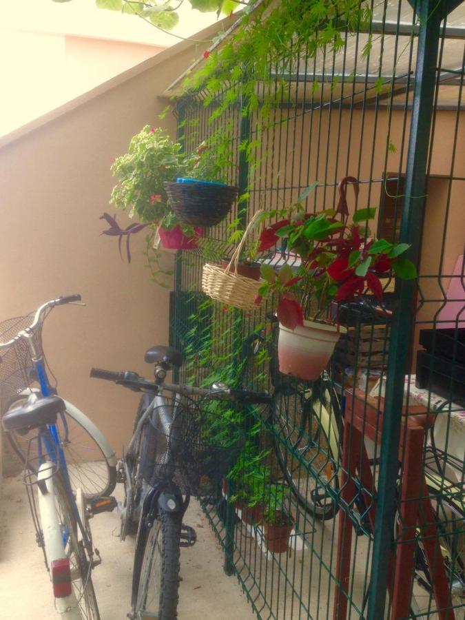 Apartment Dunja Djenovici Χέρτσεγκ Νόβι Εξωτερικό φωτογραφία