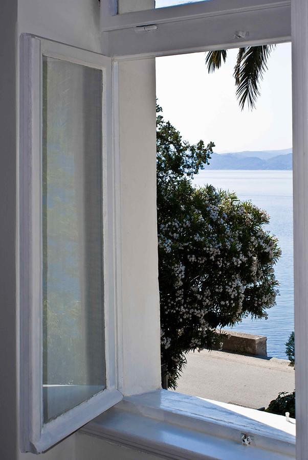 Apartment Dunja Djenovici Χέρτσεγκ Νόβι Εξωτερικό φωτογραφία
