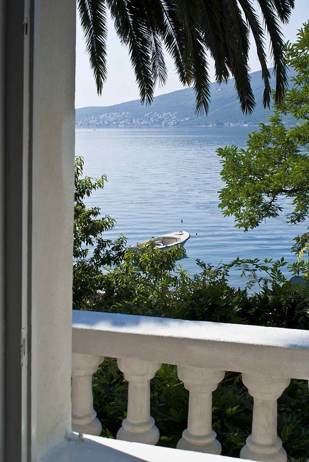 Apartment Dunja Djenovici Χέρτσεγκ Νόβι Εξωτερικό φωτογραφία